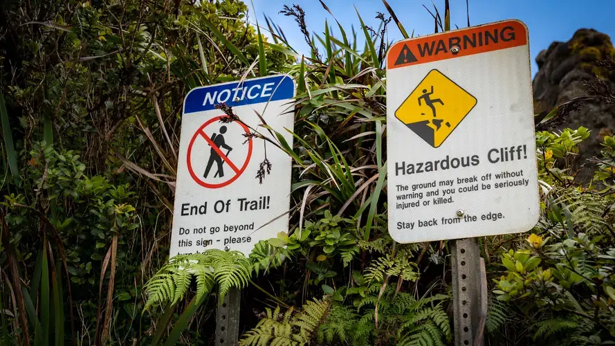 Completely native forests are only found in the most remote areas of the island. Most hiking trails lead through a mix of native and invasive plants. Image by Kuʻu Kauanoe/Civil Beat. United States, 2020.
