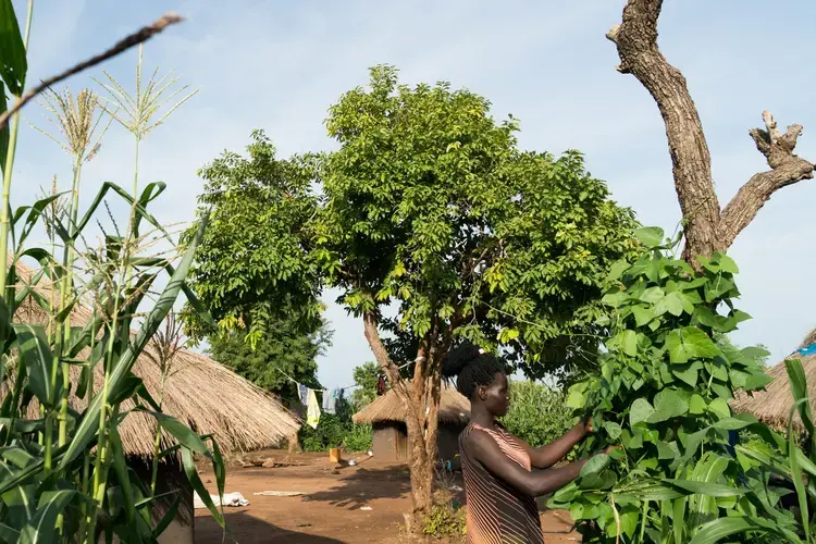 Since her son, Nelson, was born, Stella Keji, 18, has not been able to go to school. Instead she spends her days gardening and cooking in her family’s compound in the Bidi Bidi settlement, June 26, 2019. Image by Adriane Ohanesian. Uganda, 2019.