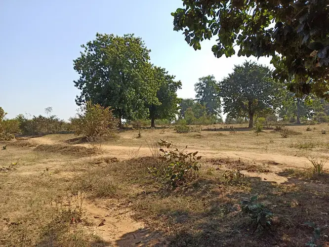 Orange land in Betul district, Madhya Pradesh. Image by Nihar Gokhale. India, undated.