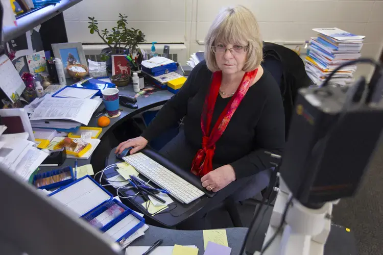 Annette Gendron, who performed the necropsy on Mahal, at UW-Madison. She is director of pathology and laboratory services for the university's Research Animal Resources Center and is the senior pathologist for the Milwaukee County Zoo. Image by Mark Hoffman. United States, 2017