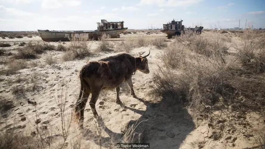 The dust, salt and chemicals now coming off of the Aral Sea’s dried-up seabed are causing health problems for locals. Image by Taylor Weidman. Uzbekistan, 2018.