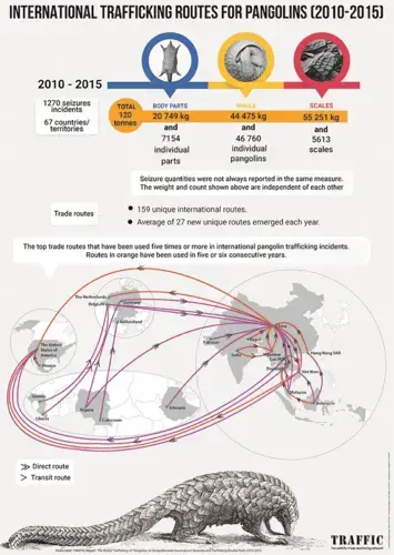 Graphic courtesy of Piga Firimbi.