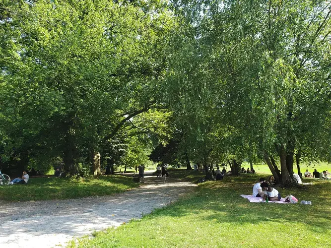Passing time under trees in Prospect Park. Image by Clarisa Diaz. United States, 2020.<br />
