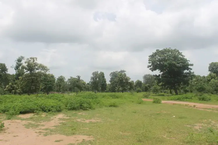 The land being readied for resettlement. Image by Vandana Menon. India, 2019.