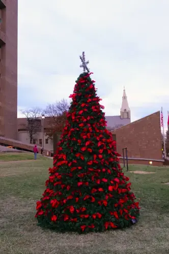 A tree with a ribbon for each Memphis homicide victim in record-setting 2020 has been placed outside the Criminal Justice Center in Downtown Memphis. There now are more than 300 ribbons. Anyone who’s lost a loved one to homicide can hang an ornament on the tree through the end of December. Image by Karen Pulfer Focht/Special to Daily Memphian. United States, 2020.<br />