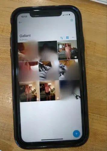 Former Oxford County Sheriff Wayne Gallant sent these nine explicit pictures while in office to a female officer at another law enforcement agency in Oxford County. The BDN blurred the photos for publication. Image courtesy of BDN.<br />