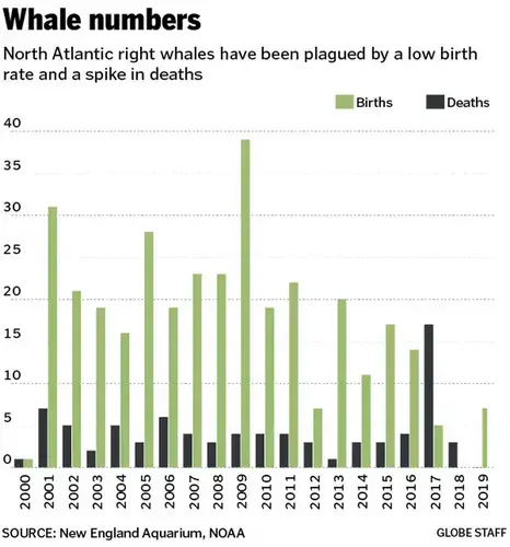 Image by Globe Staff. United States, 2019.