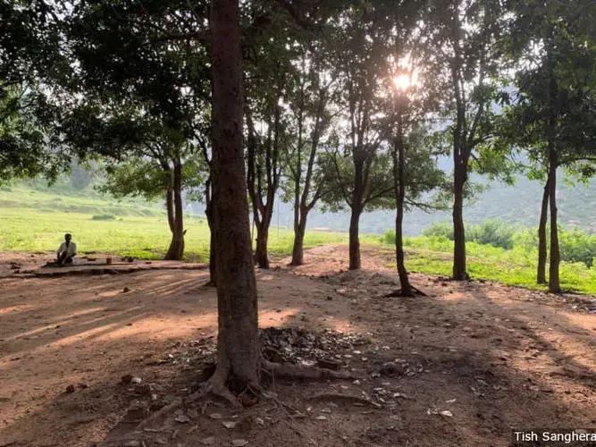 A sacred grove in a forest close to Pidarwah, Madhya Pradesh. Gond tribals worship their deity in such groves. State forest officials have stated in a site inspection report that the forest has no socio-religious significance, and that no Scheduled Castes or Scheduled Tribes people will be affected if this land is cleared for a mining project. Image by Tish Sanghera. India, 2019.