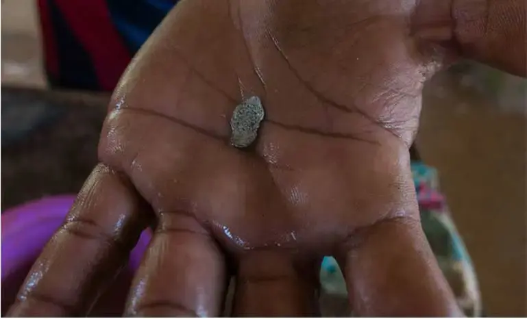 An amalgam formed with toxic mercury and gold. The amalgam is heated with a gas burner so the mercury vaporizes; in this way the gold is separated from waste. The process, often carried out without proper protection by small-scale miners, can lead easily to mercury poisoning, ultimately deadly. Image by Bram Ebus. Venezuela, 2017.