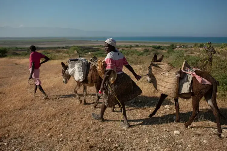 Women walk with their donkeys outside the St. Christophe memorial, the mass gravesite where tens of thousands of earthquake victims are buried, on the ninth anniversary of the 2010 earthquake, just north of Port-au-Prince. The property is surrounded on three sides by greater Canaan. Image by Allison Shelley. Haiti, 2019.