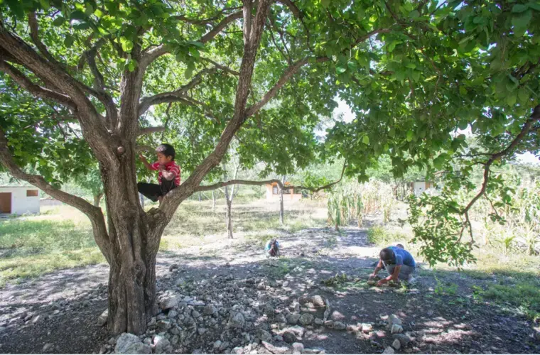 Twelve kids remain in Quetzalcoatlán de las Palmas but the municipal government no longer sends a teacher regularly to the community to instruct them, due to violence in the region. Image by Omar Ornelas. Mexico, 2019.