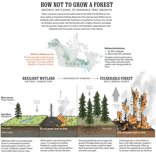 Image courtesy of Sophie L Wilkinson, McMaster University: Wilkinson et al., 2018; Global Lakes and Wetlands Database.