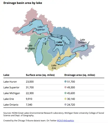 Graphic courtesy of the Chicago Tribune. United States, 2020.