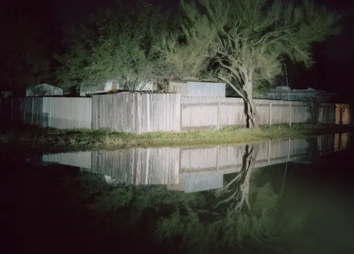 Tree by trailer home communities, Tucson, Arizona. Image by Kalen Goodluck. United States, undated.