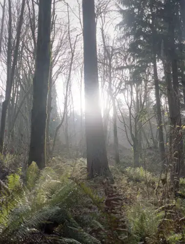 Discovery Park, Seattle, Washington. Image by Kalen Goodluck. United States, undated.