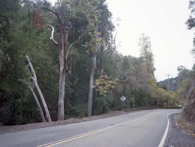 Niles Canyon Railway, Sunol, CA. Image by Kalen Goodluck. United States, 2020.