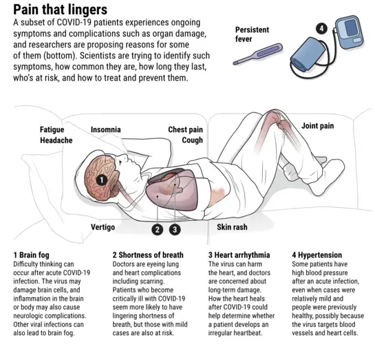 Image Courtesy of V. Altounian/Science. 2020.