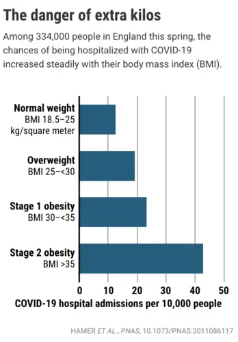 19 bmi BMI 19