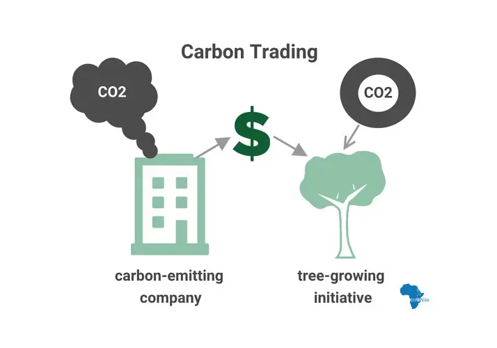 Under the international REDD+ strategy to fight climate change, carbon-emitting companies can buy carbon credits from tree-growing initiatives to 'offset' their negative environmental impact. Image by Annika McGinnis.