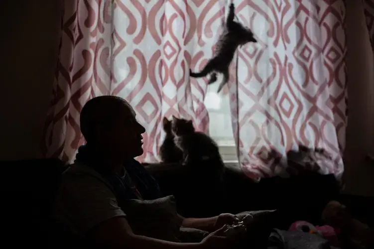 Wael has a new litter of kittens at home in Bergen. Image by Bradley Secker. Norway, 2020.