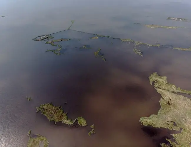 Algae, fueled by fertilizer runoff from farms into the Mississippi, grows off the coast of Louisiana and Texas, sucking up oxygen, threatening the extinction of many species of sea life. Image by Spike Johnson. United States, 2019. 