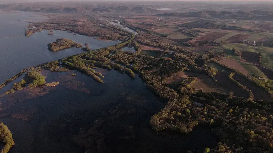 The holistic farms of generations ago, their multi-crop systems and grazing livestock, have been dissolved over fifty years, the profit-focused markets of corn and soybean commodity stripping them down. Instead, a duocrop culture was created, growing in size and momentum, that’s just beginning to change course. Image by Spike Johnson. United States, 2019.