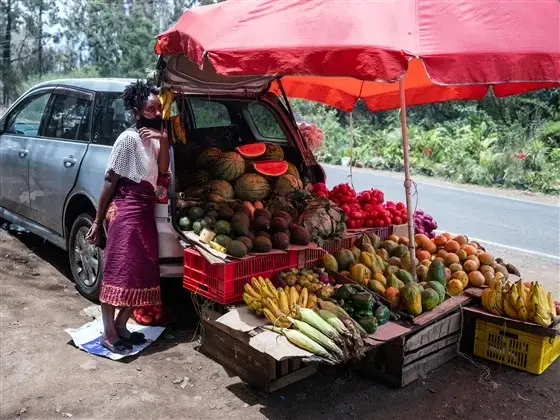 A woman sells vegetables out the back of a vehicle Oct. 16 in a suburb of Nairobi, Kenya. Some Uber drivers have adapted their vehicles for alternative uses, saying they earn more selling fruit and vegetables than driving with the app. Image by Nichole Sobecki/NBC News. Kenya, 2020.<br />
