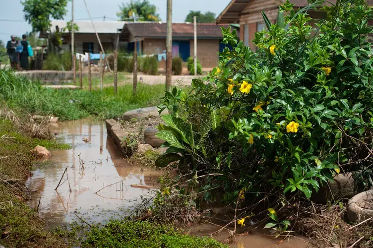 Pooled water tainted with sewage runs along the yards of a neighborhood in Moengo. Image by Stephanie Strasburg. Suriname, 2017.