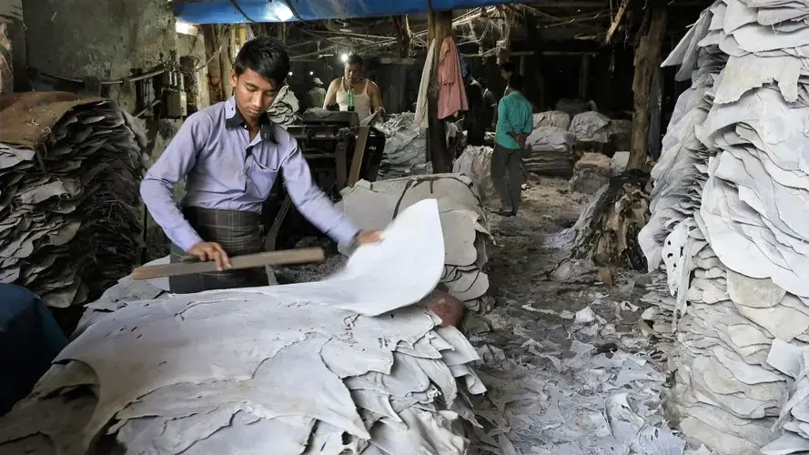 Workers process hides at a tannery in Dhaka’s Hazaribagh district. Leather in Bangladesh has grown to a $1 billion per year industry. Image by Justin Kenny. Bangladesh, 2016.<br />
