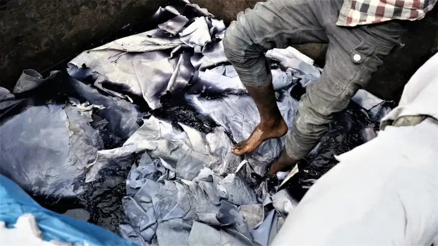 A worker in Dhaka’s Hazaribagh leather district walks through animal hides. Image by Justin Kenny. Bangladesh, 2016.