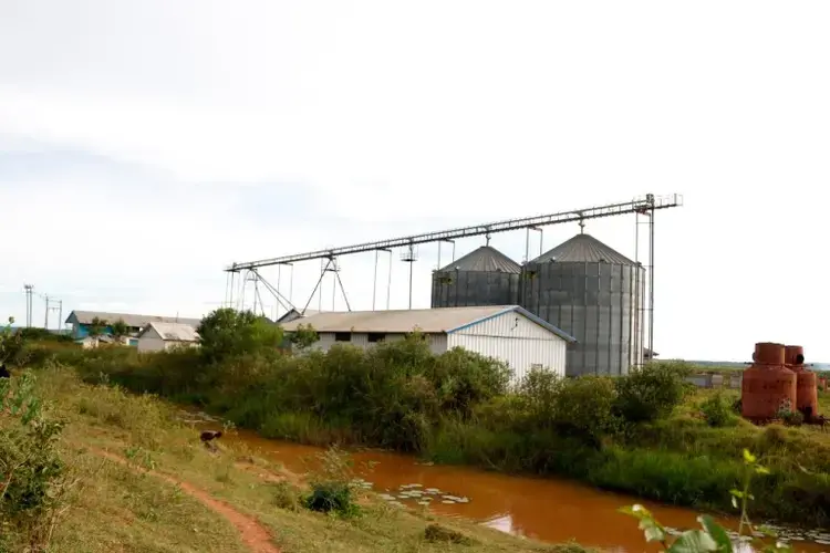 These rice silos have since stopped being used. Image by Geoffrey Kamadi. Kenya, 2019.