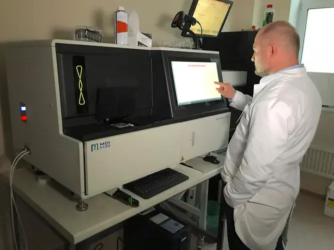 Denis Rebrikov working in his lab at the Pirogov Russian National Research Medical University in Moscow. Image by Jon Cohen. Russia, 2019.