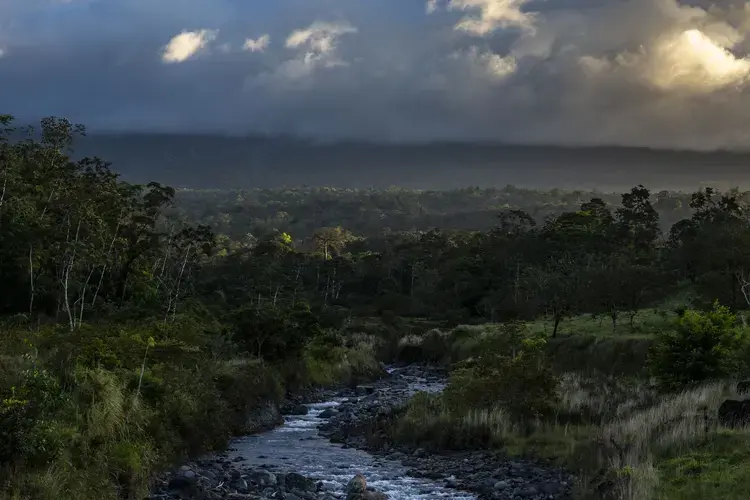 From the tropical forest in the shadow of Rincón de la Vieja, clouds obscure the volcano. While many climate scientists believe that such forests will begin to absorb progressively less CO2 because of climate change, other research suggests that higher concentrations of the gas could actually protect them, an idea dubbed carbon fertilization. Image by Dado Galdieri / Hilaea Media. Costa Rica, 2020.