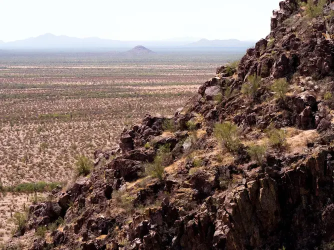 Bird Nest Hill in the Sonoran Desert near Sells, Ariz. Image by Kevin Cooley/The New York Times. United States, undated.