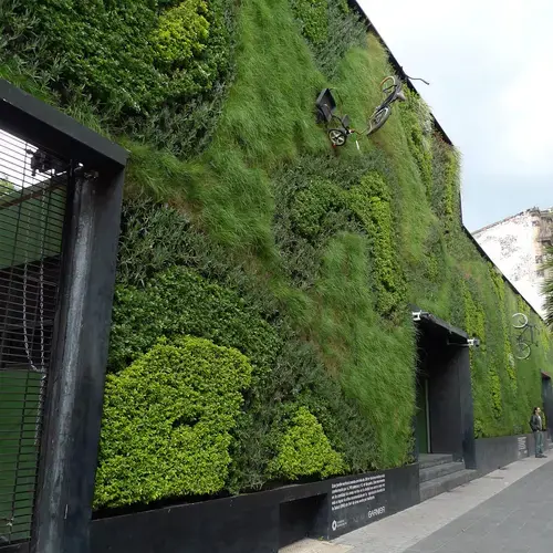 A bicycle-themed green wall at the Universidad del Claustro de Sor Juana in Mexico City. Image by Mark Hogan. Mexico, 2014.