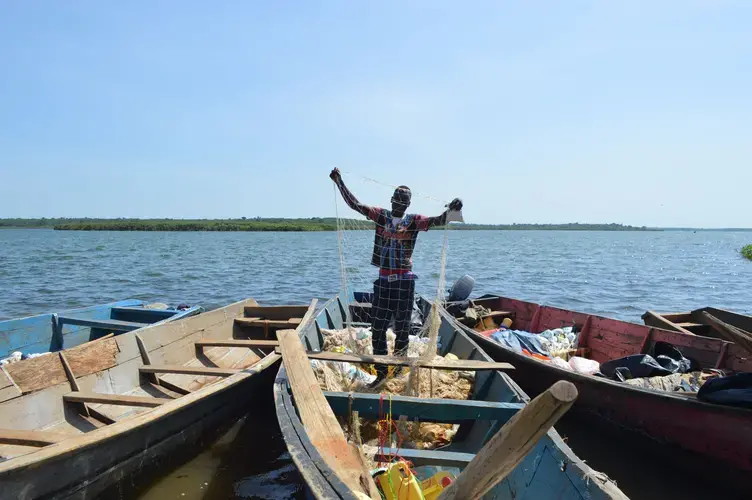After their gardens were slashed, Walumbe residents took up fishing. But they are unable to afford the legal gears, and thus face the constant threat of arrest. Image by Annika McGinnis. Uganda, 2019.