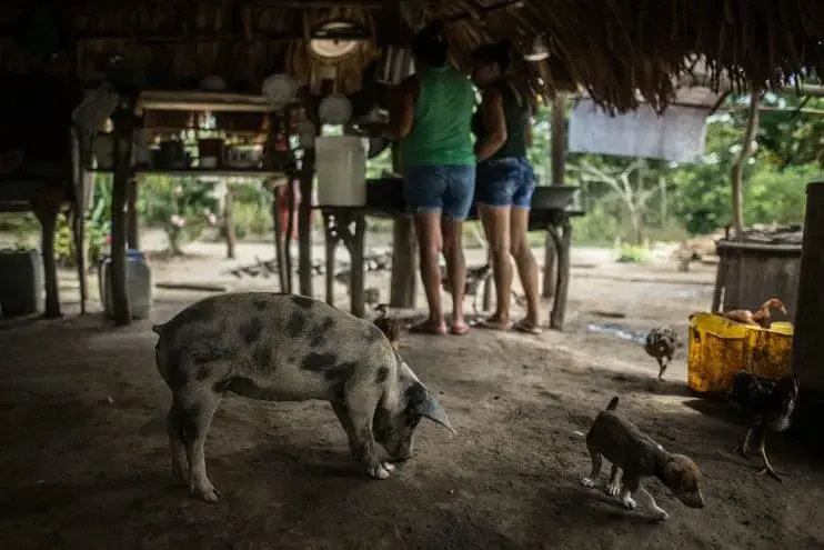A family prepares lunch in an open-air kitchen on their farm in Pichilín. Image by Ivan Valencia/For The Washington Post. Colombia, 2018.
