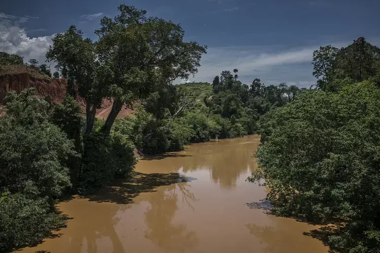 The Lebir River is choked with sediment from the undersoil, indicating it is anaerobic. This was the heart of the Batek’s territory. Kuala Koh sits upstream on a tributary. Image by James Whitlow Delano. Malaysia, 2019.