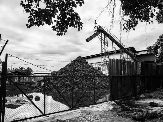 A pile of palm husk at a mill. According to the locals, the husk and kernel of the palm fruit are burnt after use, spreading their pungent smell throughout the area. Image by Xyza Cruz Bacani. Indonesia, 2018.