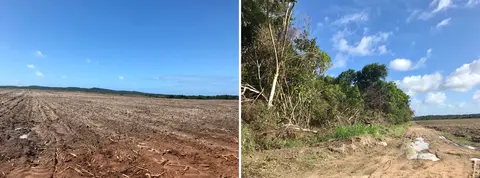 Areas near the Indigenous village of Sagi/Trabanda recently deforested for the expansion of sugarcane fields. Image by Rafael Lima. Brazil, 2019.