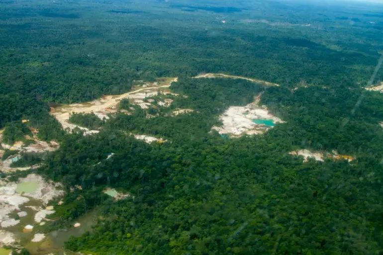 Deforestation in Brazil's  rainforest hits 15-year high