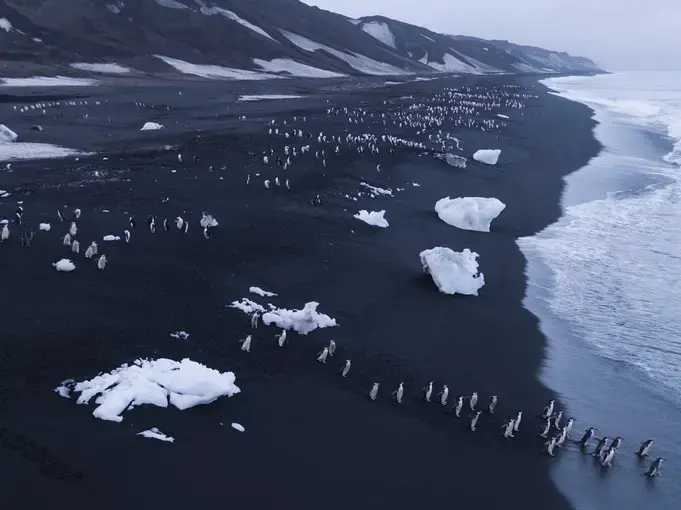 4_antarctica_01_copy.jpg