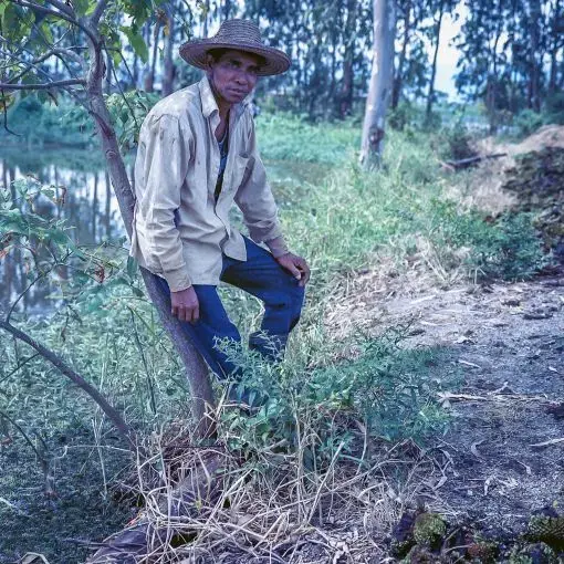 Indrajeet Tombram, 52. Thanga Khoirom Leikai, Manipur Indrajeet Tombram takes a break from the backbreaking work of dredging out weeds that had proliferated on a fish farm where he works. Increased erosion and use of fertilizer along with an altered hydrology due to the commissioning of the Ithai Dam have resulted in increased rates of eutrophication of the lake.