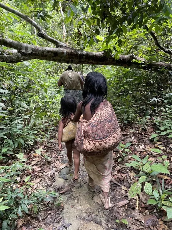 Orang Rimba, Guardians of Bukit Duabelas | Pulitzer Center