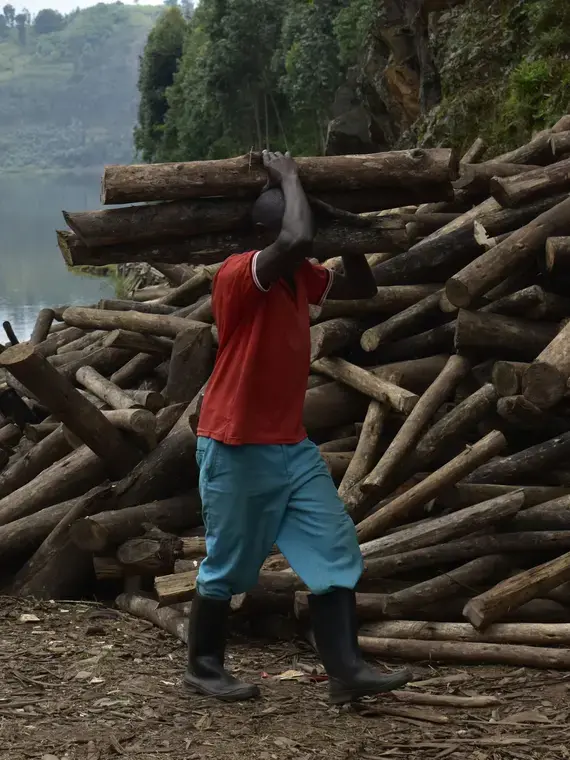In Boki, Tribe Women Are at the Forefront To End Illegal Logging ...