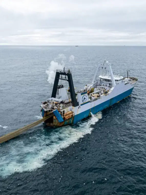 Bering Sea Pollock Fleets Under Scrutiny