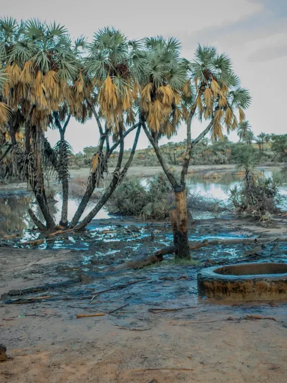 From Nigeria to Cameroon: Inside the Lake Chad Region’s Climate ...