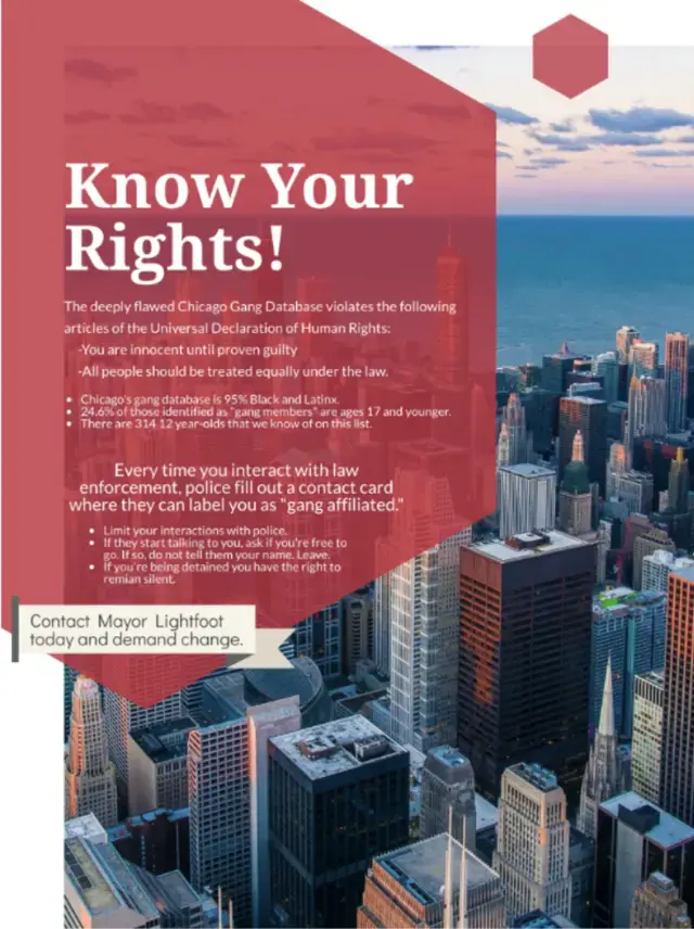 This image, which was created by a Chicago student, is a picture of the Chicago skyline and a text box that says "know your rights"