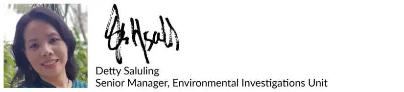Detty Saluling signature