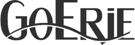 Publication logo